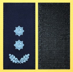 010 подполковник  дснс